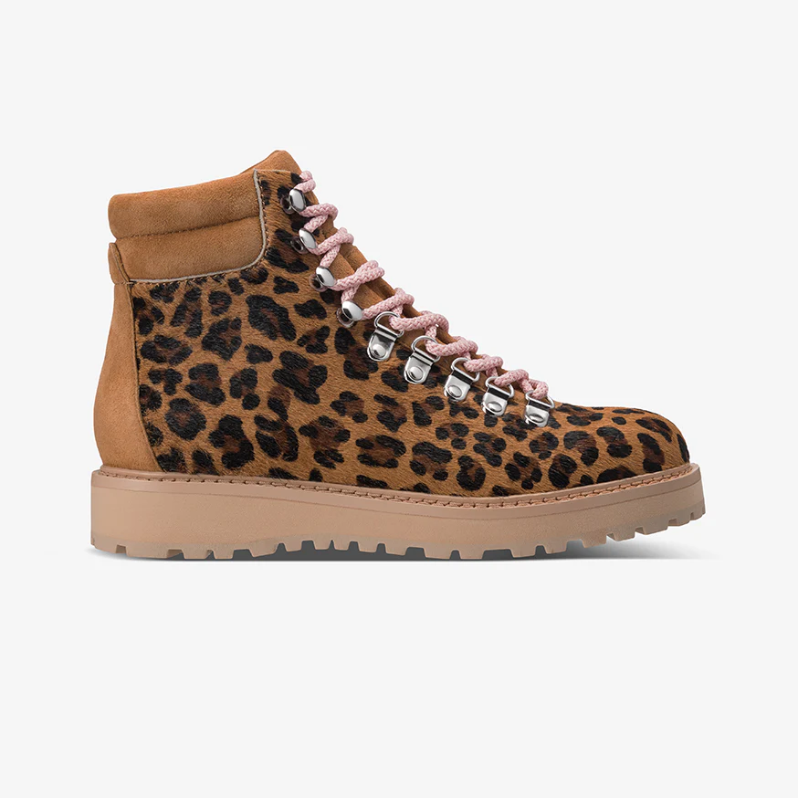 The Lorimer - Leopard