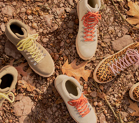 The Lorimer - Leopard