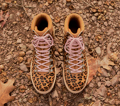 The Lorimer - Leopard